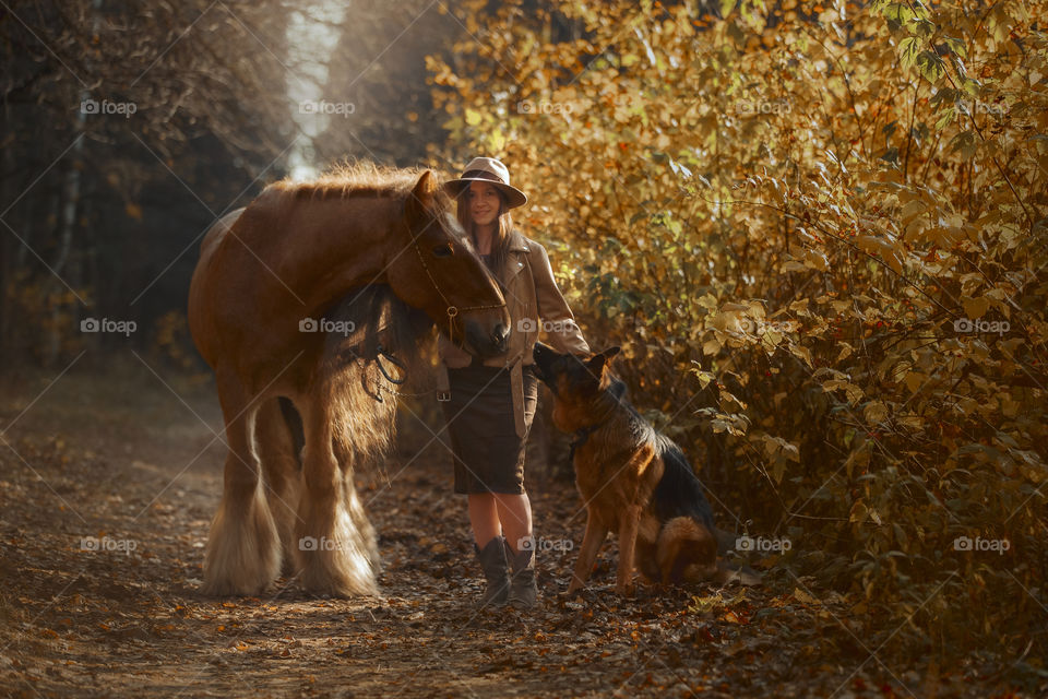 Portrait of young woman  with tinker horse and German shepherd dog 