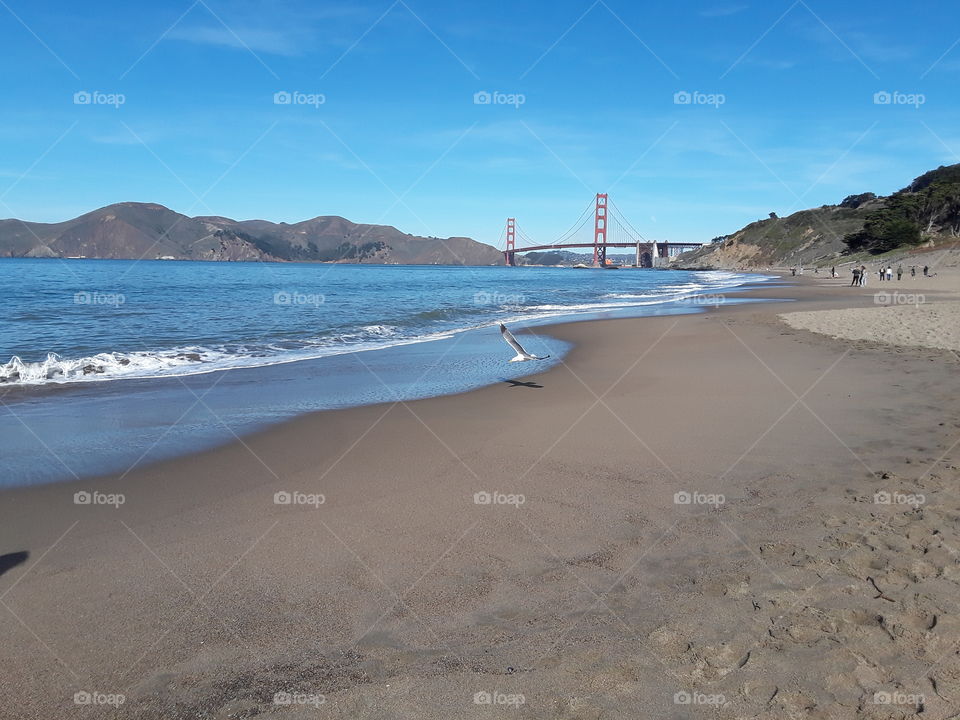 Beach, Seashore, Sea, Water, Ocean