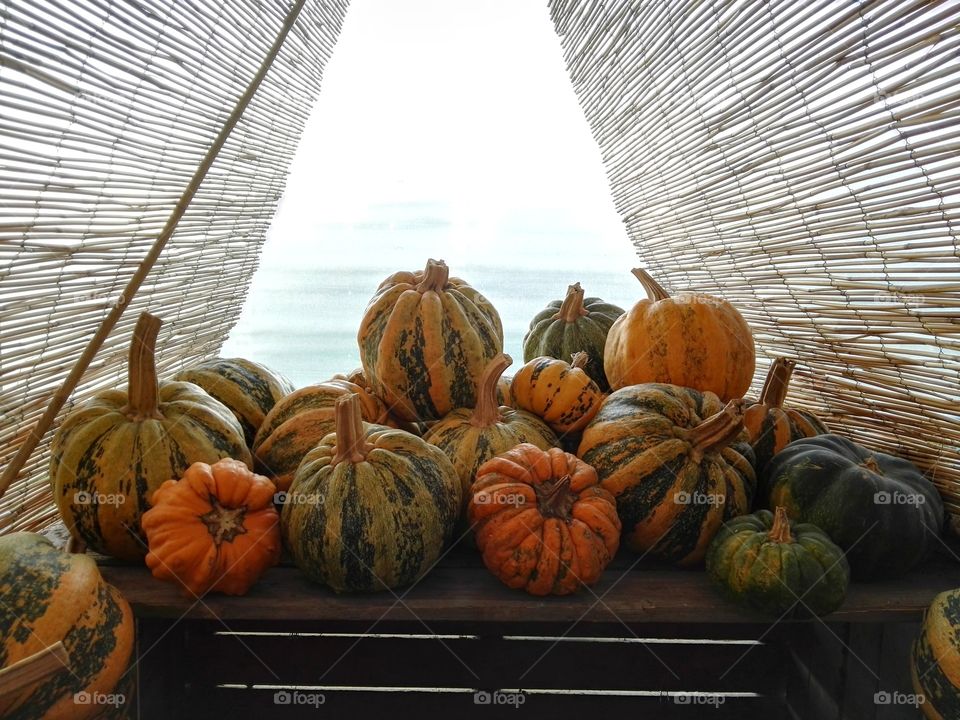 Autumn pumpkins