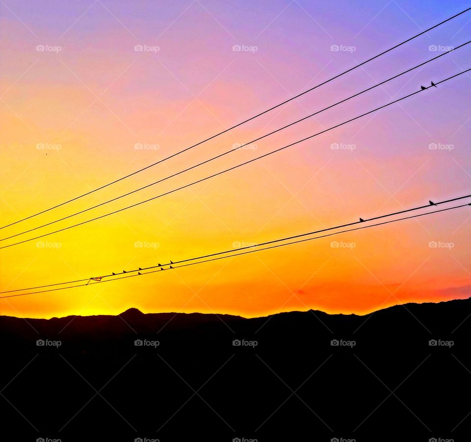 for the birds. photo taken while passenger on motorcycle today, chasing sunset