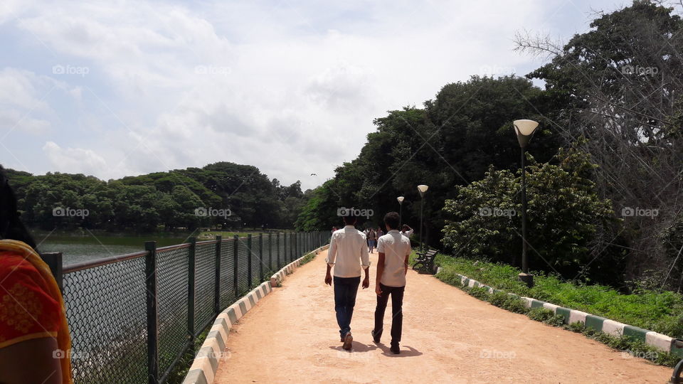 Tree, Landscape, Outdoors, Travel, Water