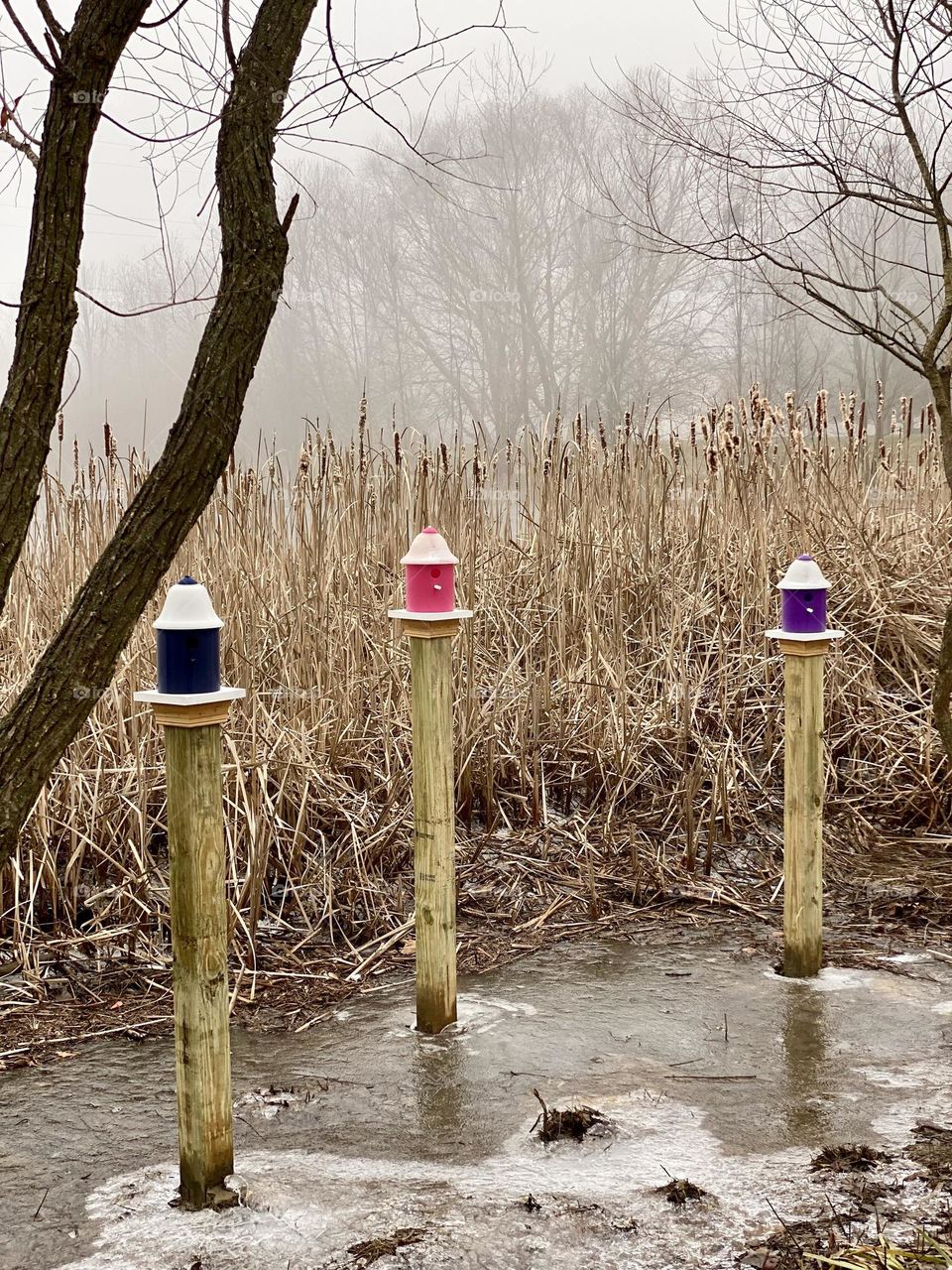 Three brightly colored birdhouses sticking out of the ice on a frozen pond