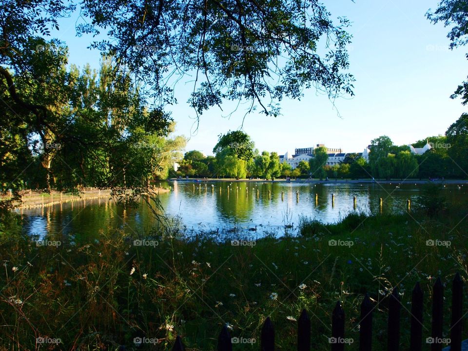 Springtime reflections in Regent's Park, London 