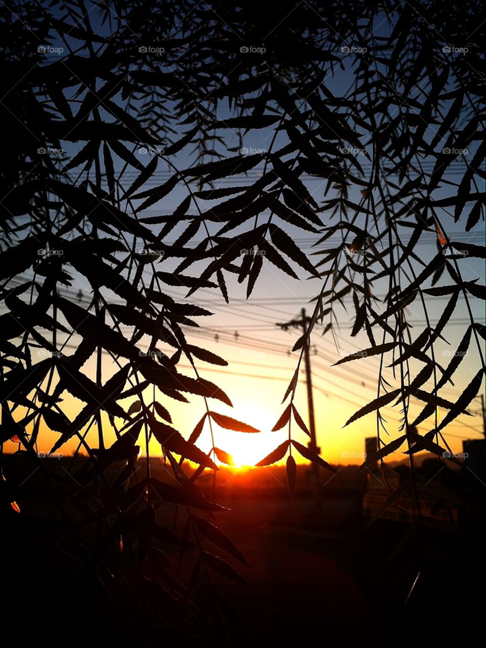 🌅Desperte, #Jundiaí!
O #domingo está belo. Inspirando-nos?
🍃
#sol #sun #sky #céu #photo #nature #morning #alvorada #natureza #horizonte #fotografia #pictureoftheday #paisagem #inspiração #amanhecer #mobgraphy #mobgrafia #FotografeiEmJundiaí