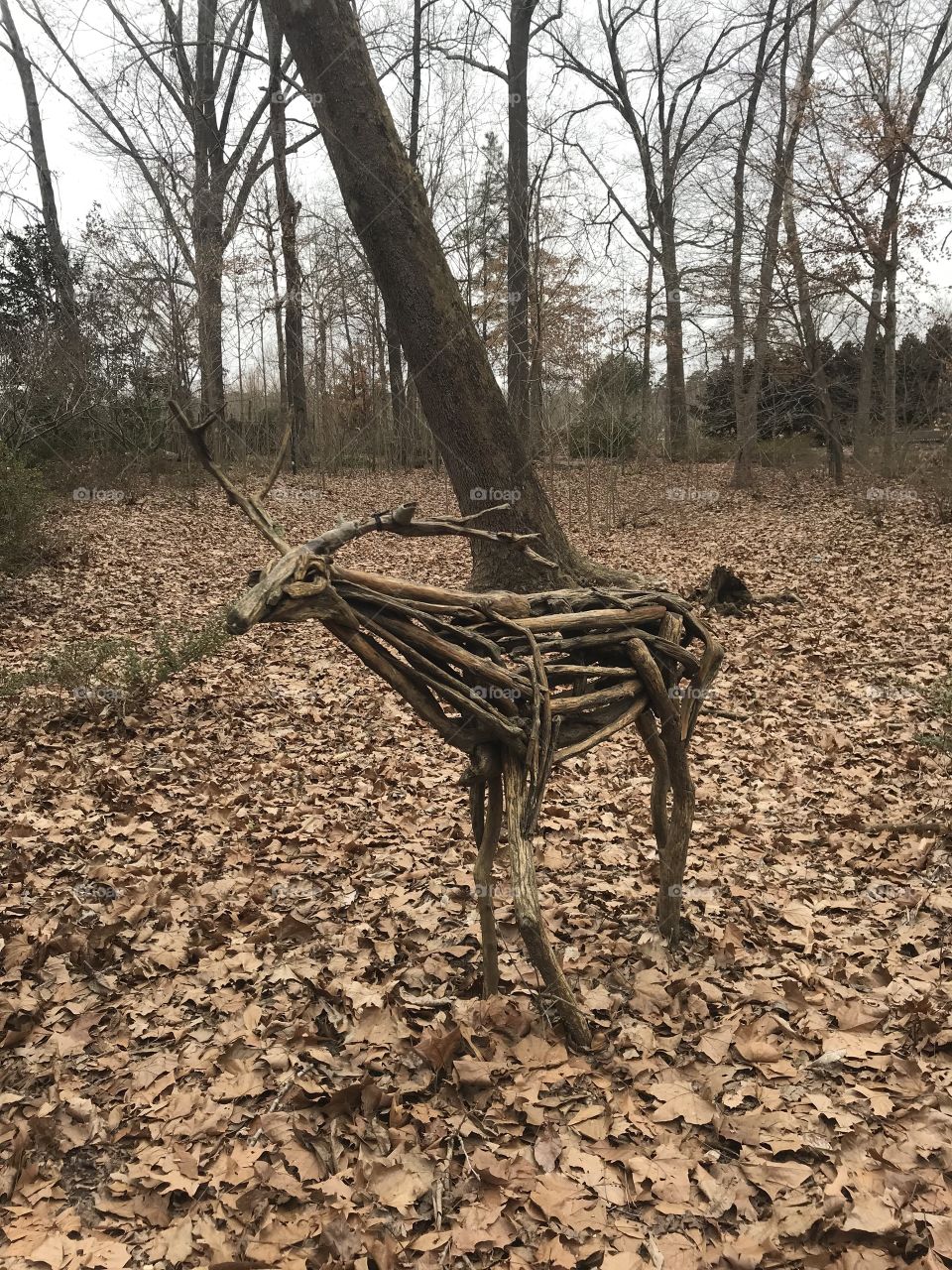 wooden deer on the walking trail 