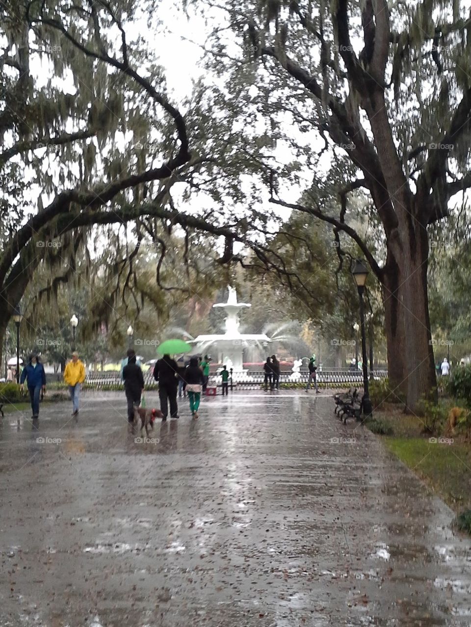 Forsyth Park