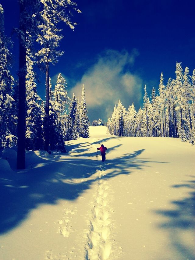trails