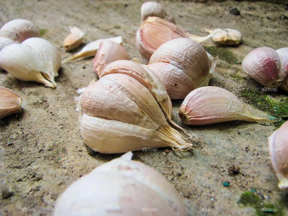 Close-up of raw garlic petals scattered on the ground