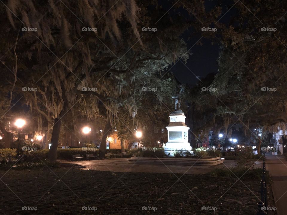 Savannah at night