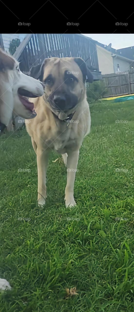 Patrons facial expression- priceless