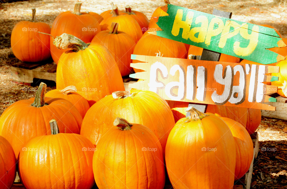 Happy fall Ya'll sign. Stopped at the pumpkin patch and discovered a school visiting for lessons on this festive season!