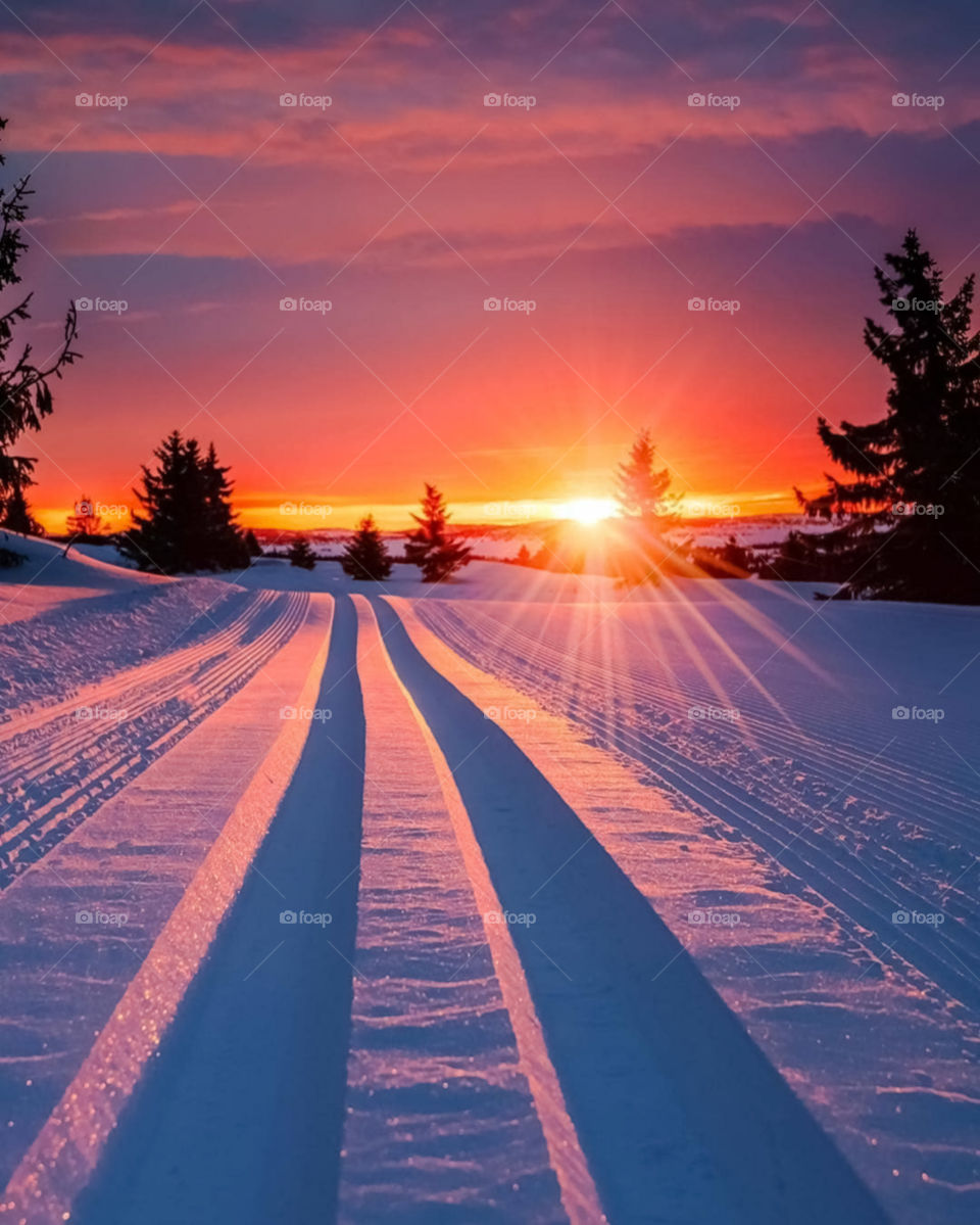 A Winter Morning In Norway