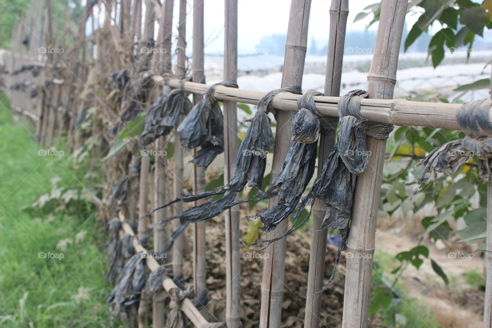 | Rural China |