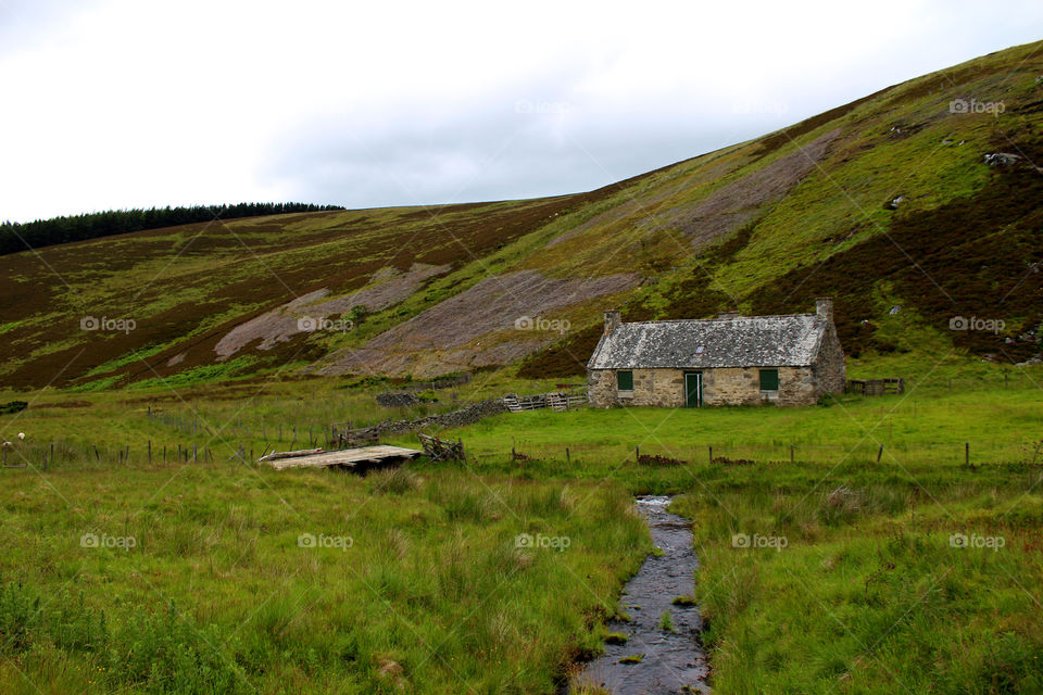 House in grassy land