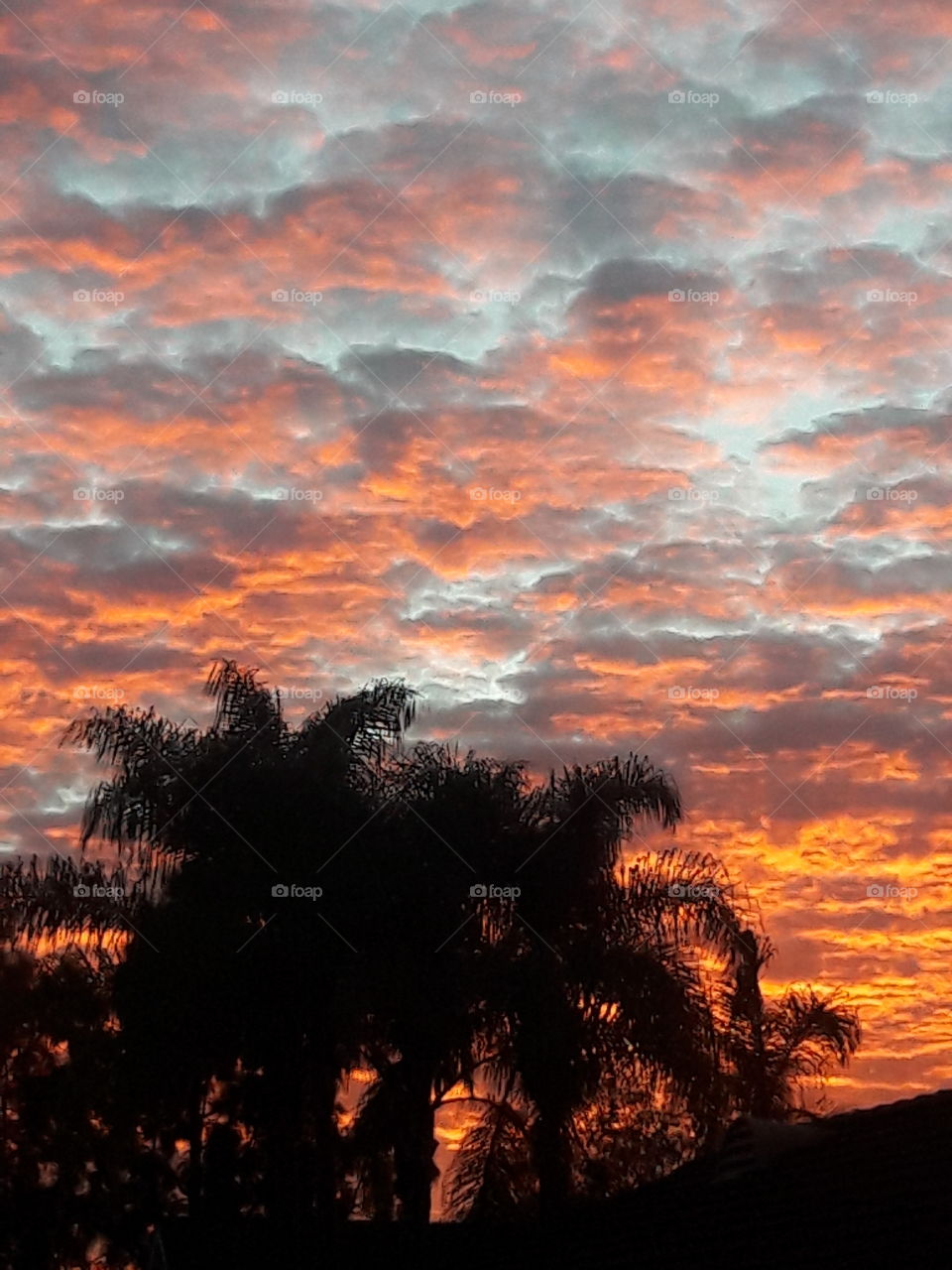 southern California  sunset