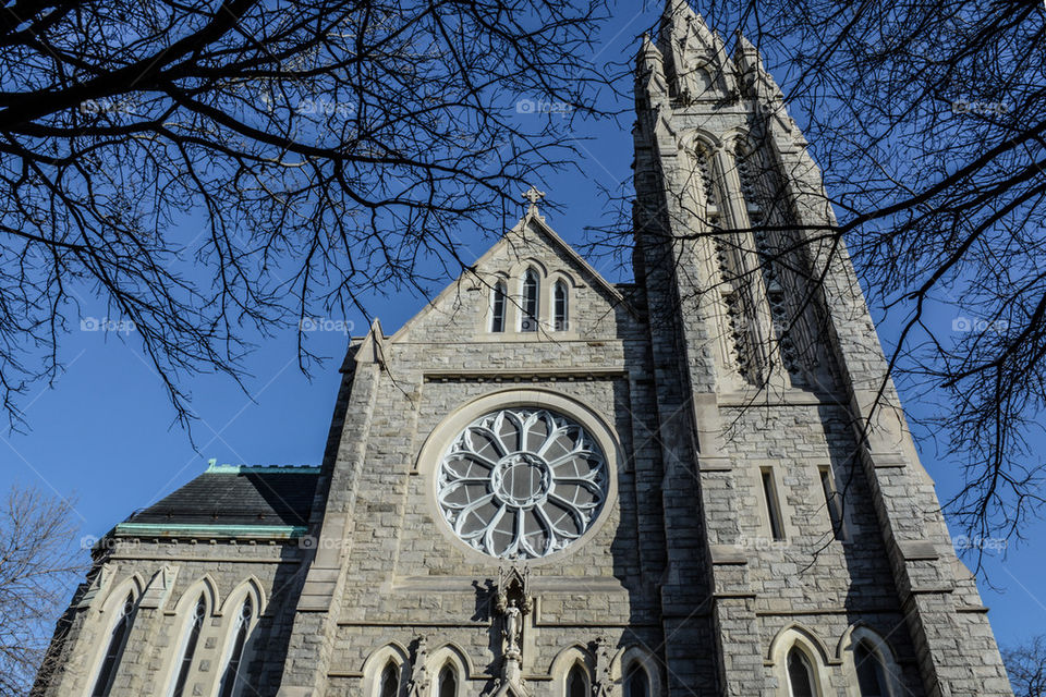 catholic church, Brooklyn new York
