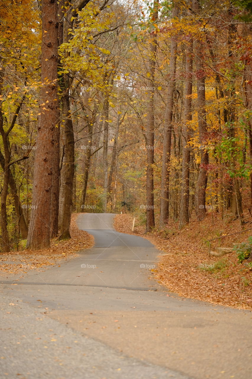 Caddo uncorked
The park road
Awesome road
Love the colors and winding road
