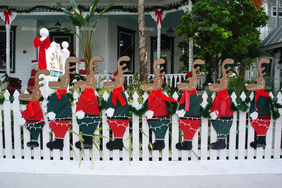 Christmas reindeer decoration at a fence in Key West, Florida