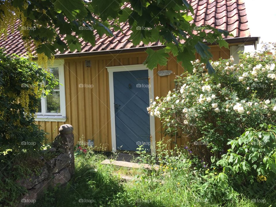 Cottage