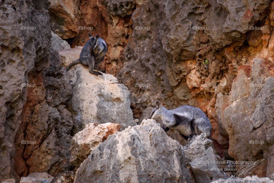 Rock, Nature, No Person, Stone, Outdoors