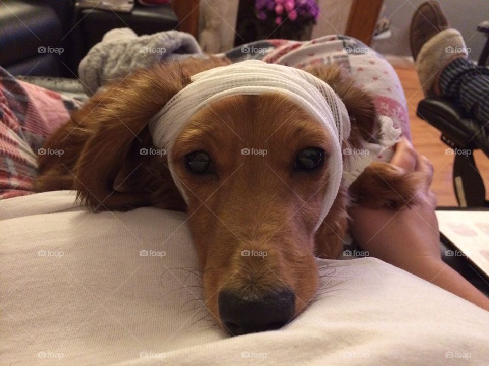 The boy has a boo boo