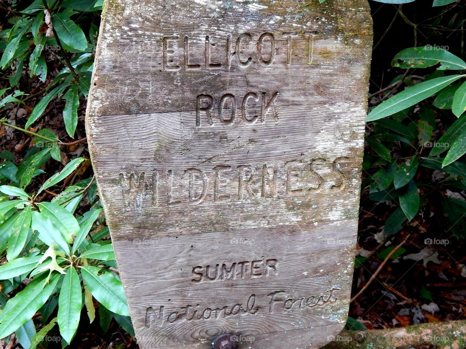 Trail marker in the Sumter National Forest, South Carolina