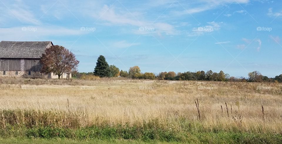 Fall Fields