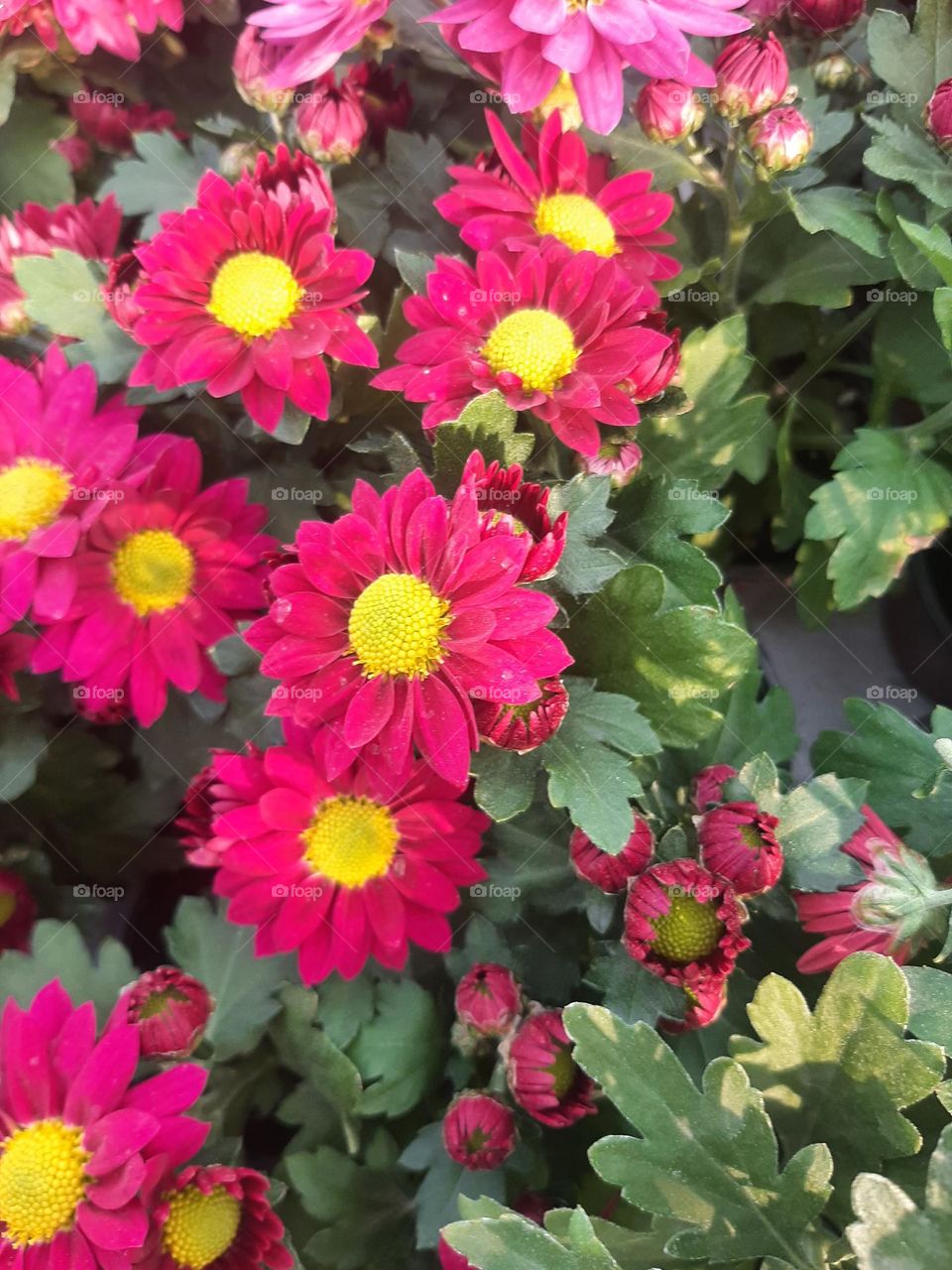 Please make me happy, I am poor, I need your help with support