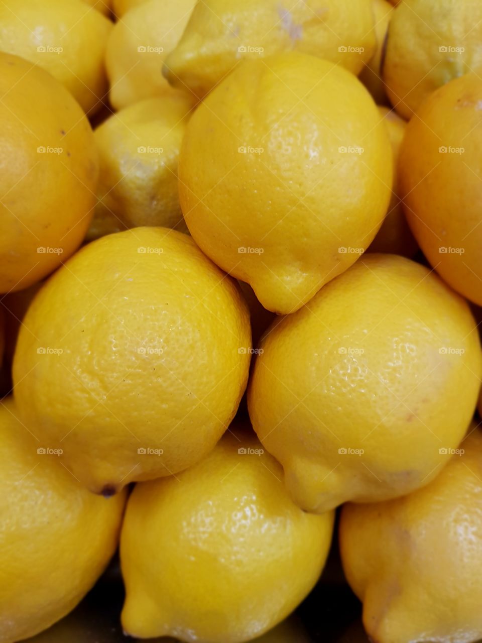 Sicilian lemon - Citrus limon