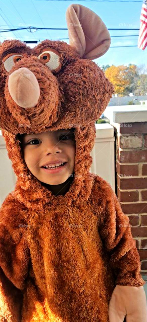 Ratatouille For Halloween