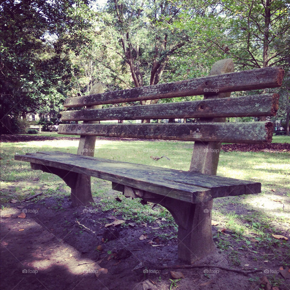 wood park old bench by sdvaugh