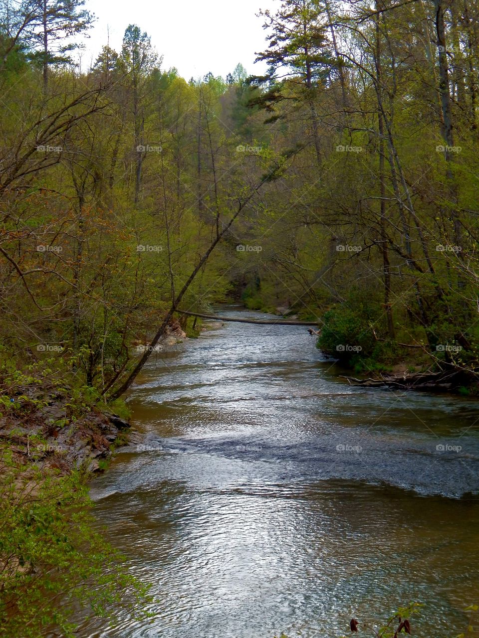 The Middle Broad river flowing through the Lake Russell WMA in the Chattahoochee national forest, Georgia