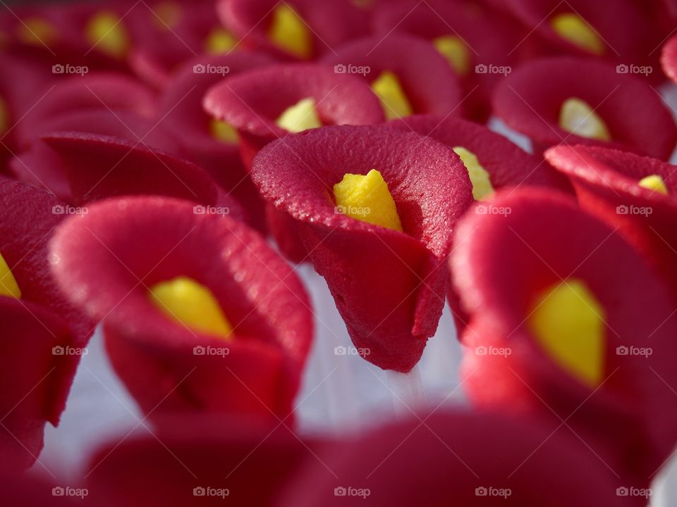 colorful flower cake icing