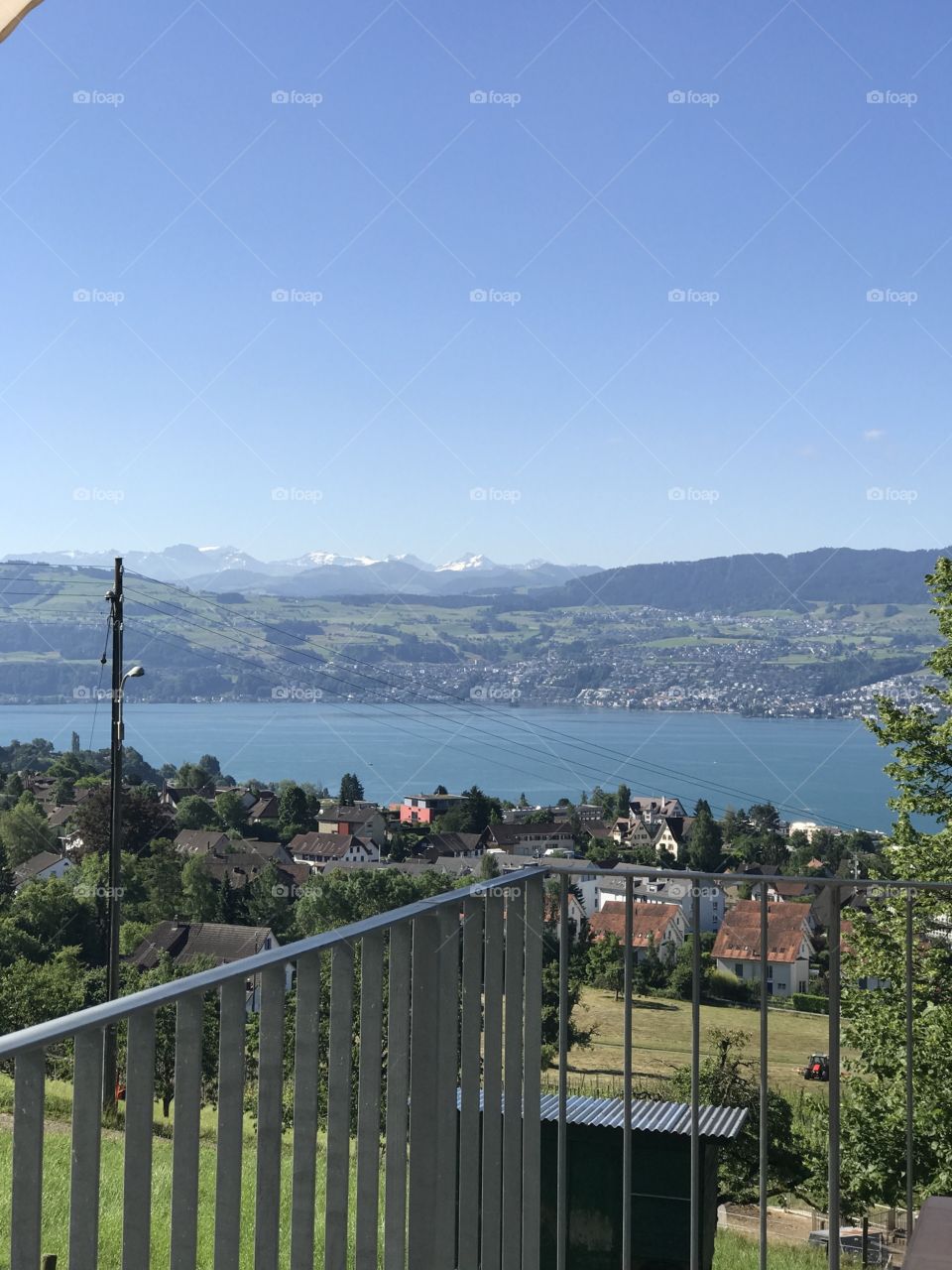 Switzerland / Zurich 🌳