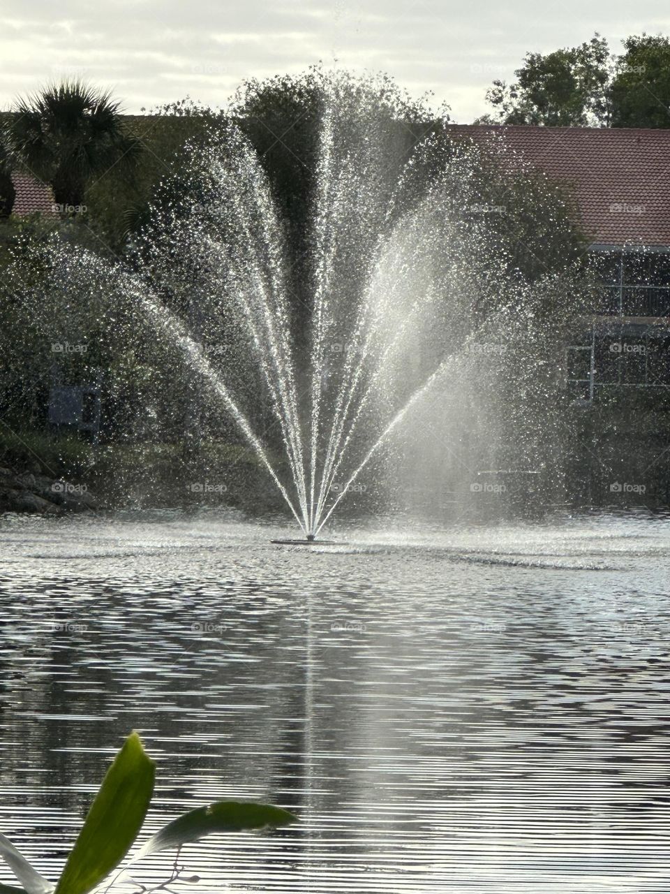 Fountain