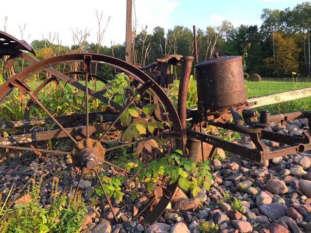 Antique corn planter