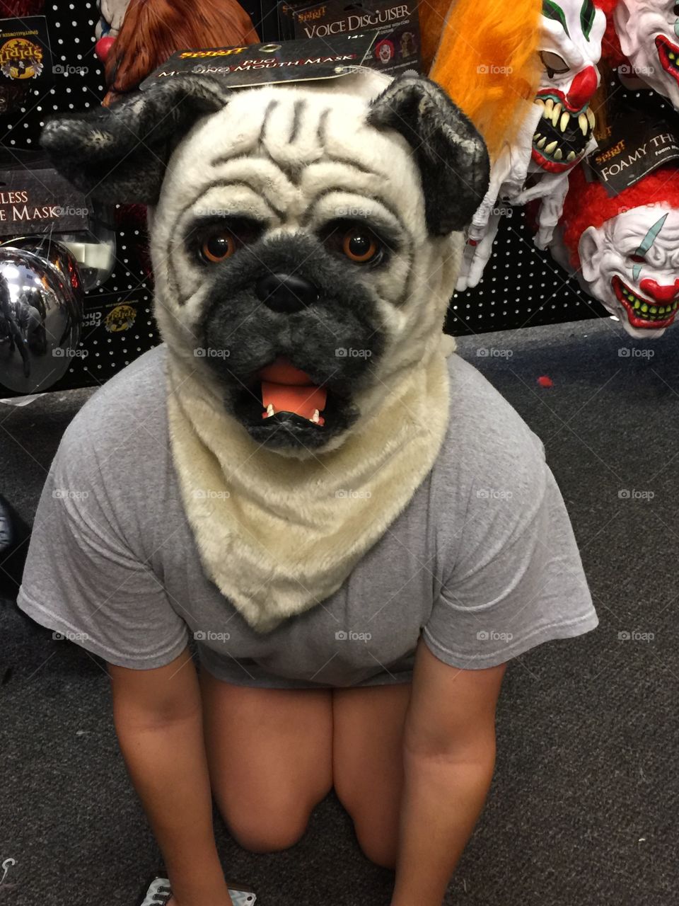 Dog mask