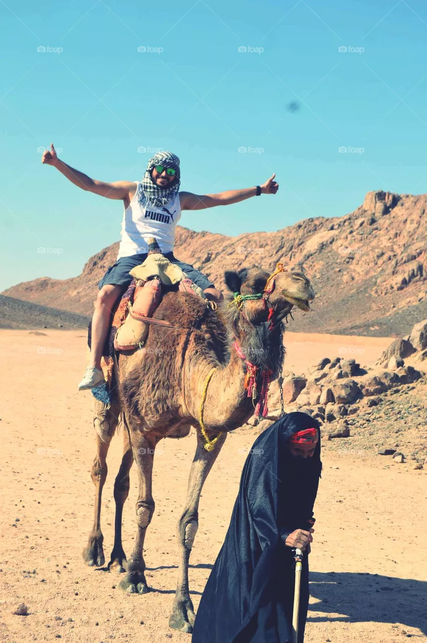 riding camel