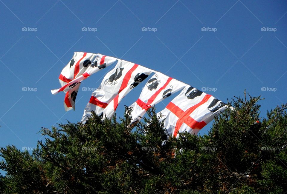 sardinian flags