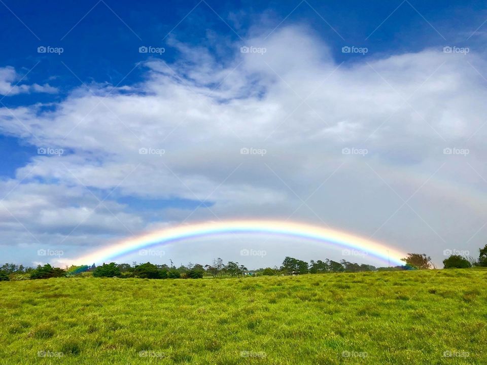 Hawaii rainbow