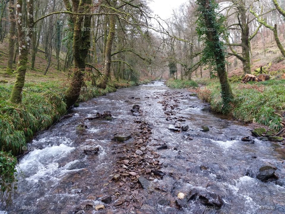 A river runs through