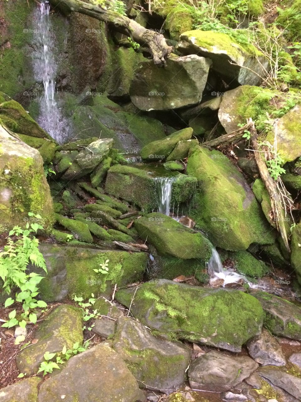 Nature, Moss, Rock, Stone, Water