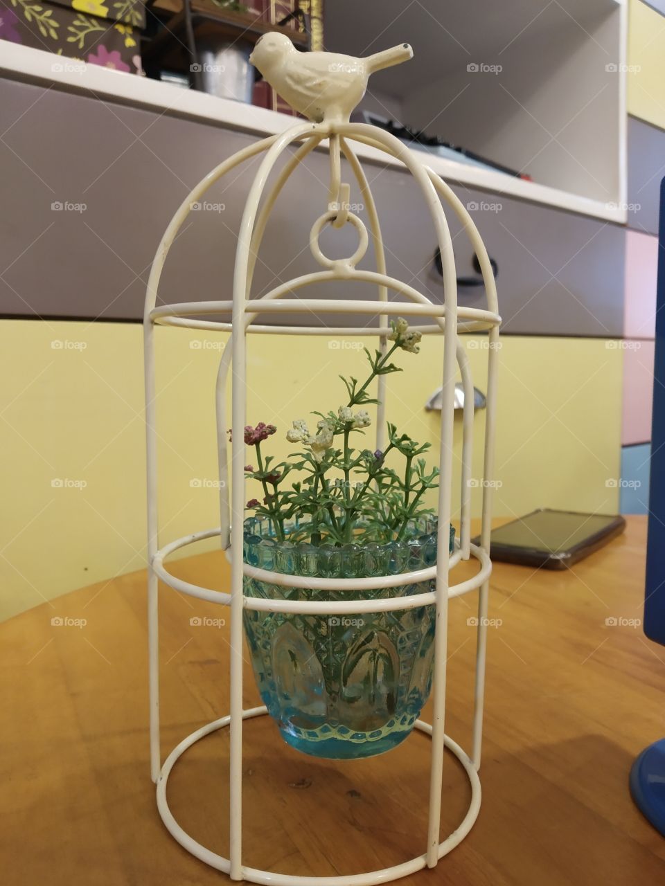 Plants in a cage