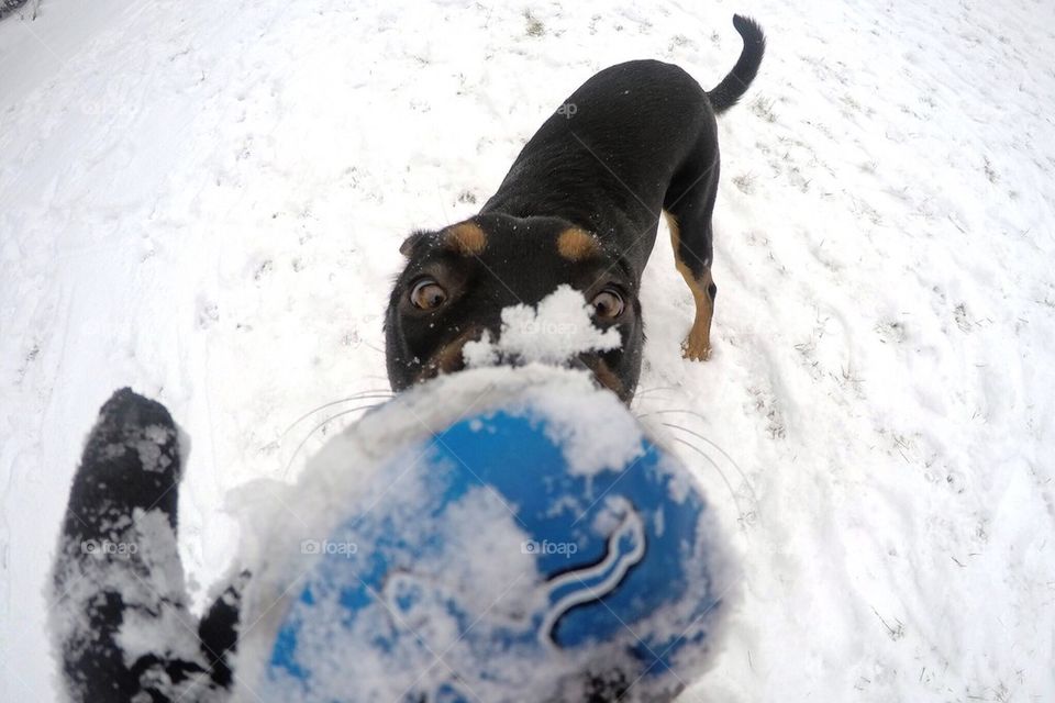 Tug of war 