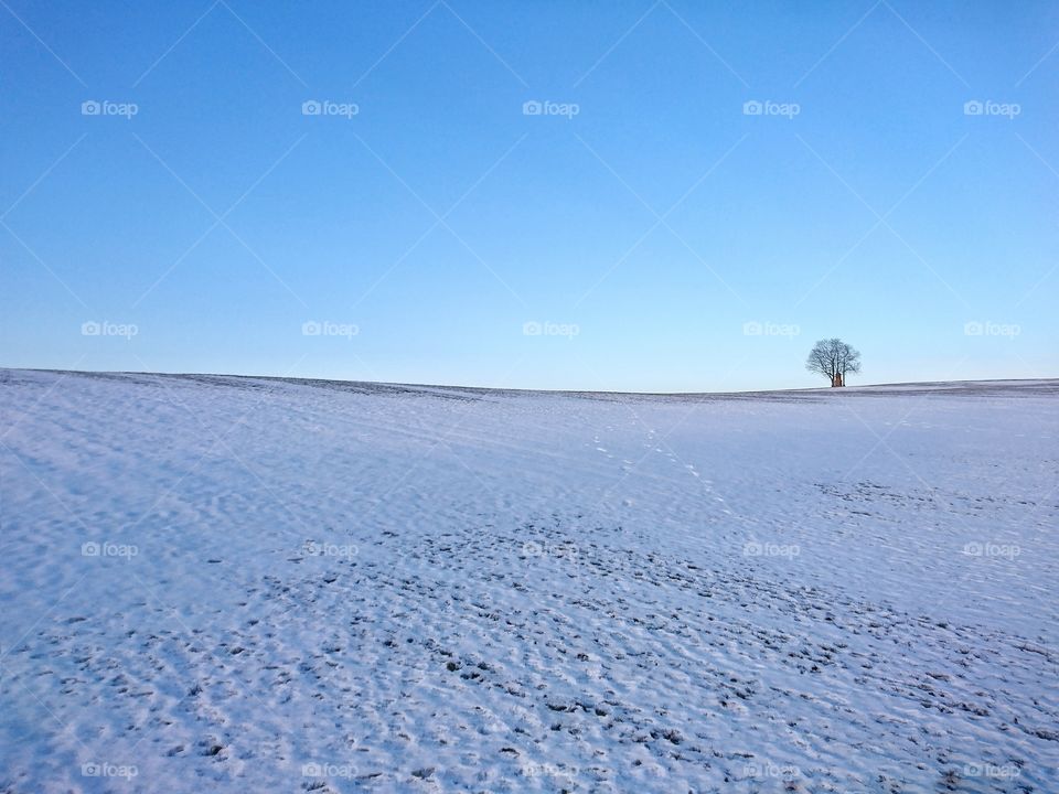 View of a winter landscape