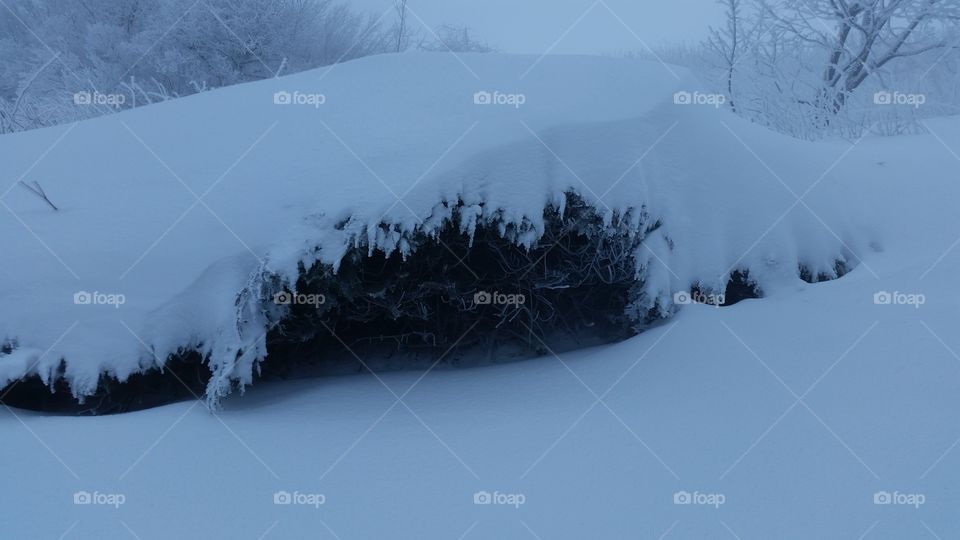 black and white . our climb was 1000 steps from the snow but it was just an uphill
