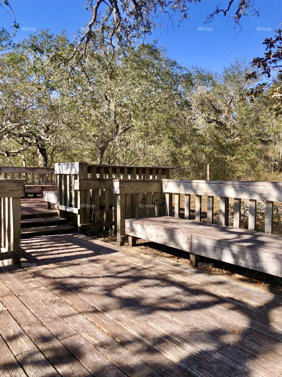 Observation deck amount the trees in national seashore park in Pensacola 