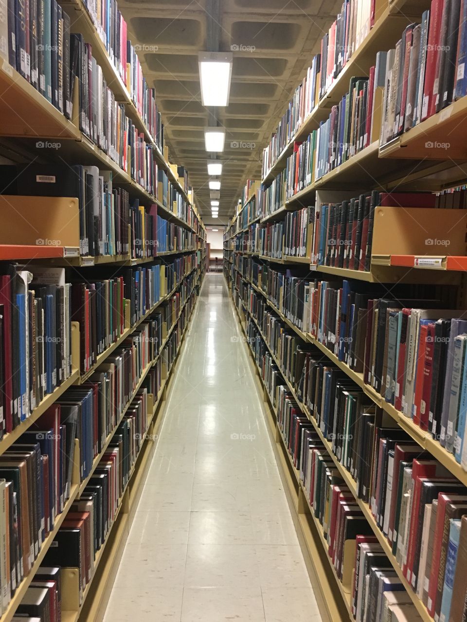 Library 