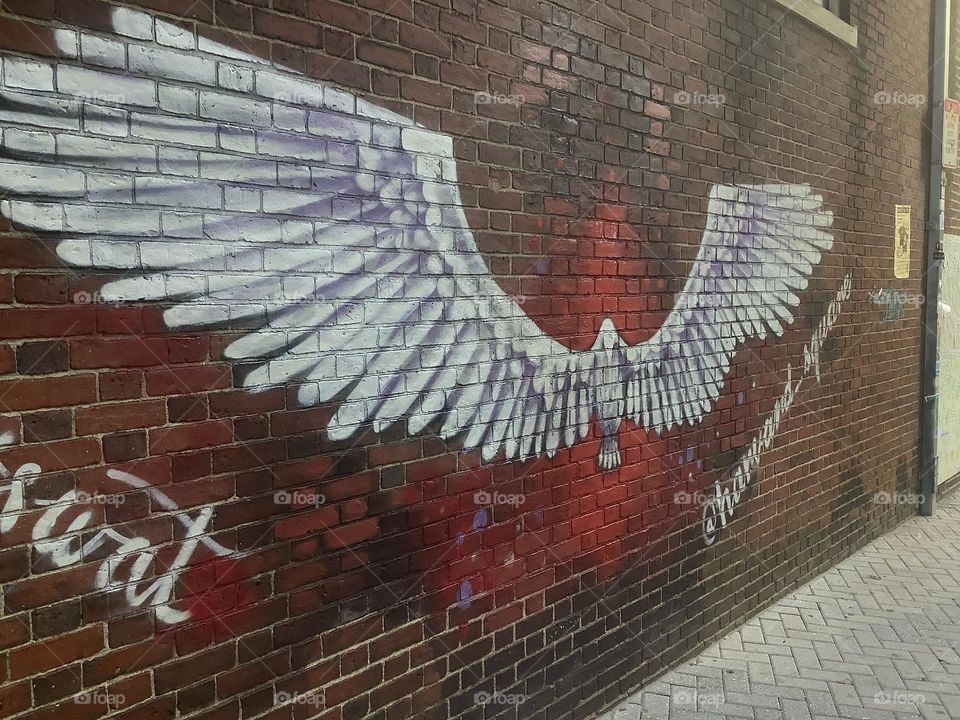 At some point, an artist took paint to brick on this wall in Harvard Square. I love photography because of our limitless ability to capture limitless life.