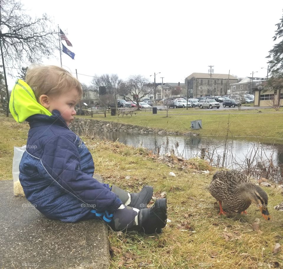boy and duck